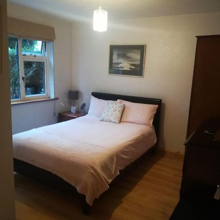 Cosy Apartment Holywood  Εξωτερικό φωτογραφία